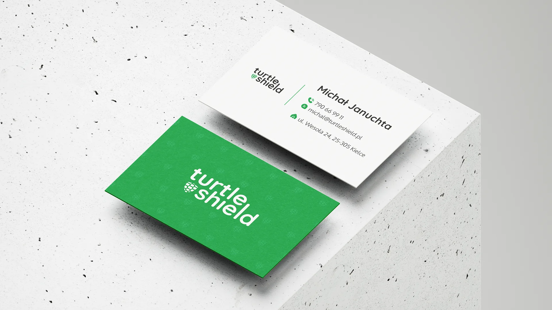 Turtle Shield 5 Turtle Shield - branding 2 | Fajne studio kreatywne