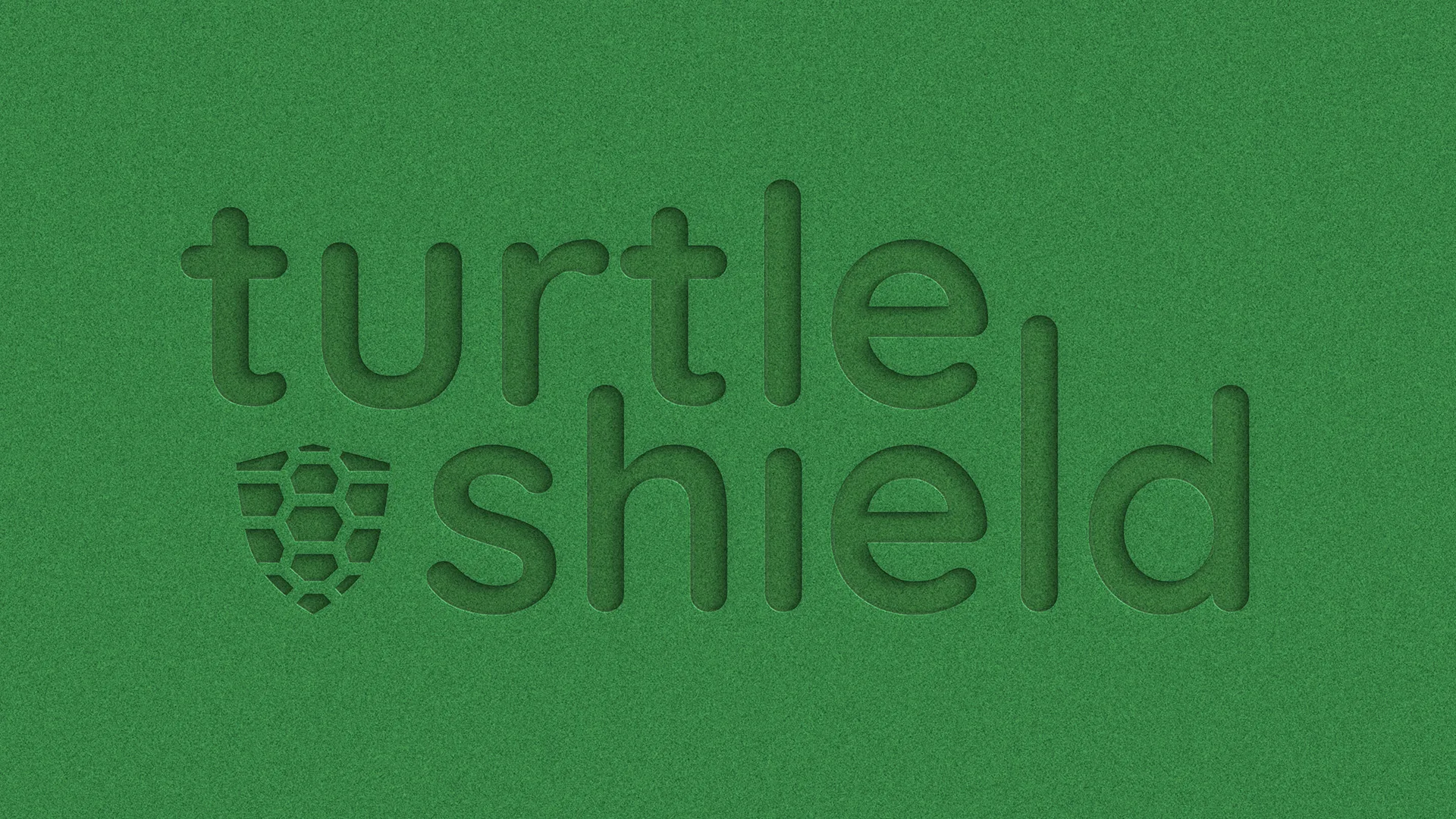 Turtle Shield 1 Turtle Shield - branding 3 | Fajne studio kreatywne