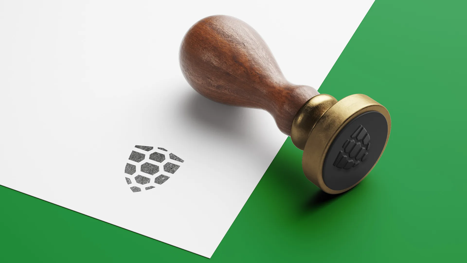 Turtle Shield 6 Turtle Shield - branding 4 | Fajne studio kreatywne